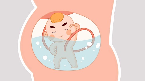 2021世界試管嬰兒成功率排名一覽