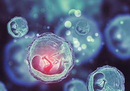 泰國第三代試管嬰兒費用相關介紹