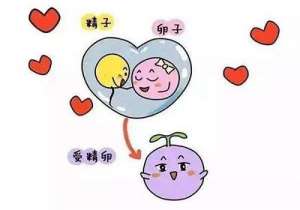 泰國第三代試管嬰兒技術優勢好處是什么