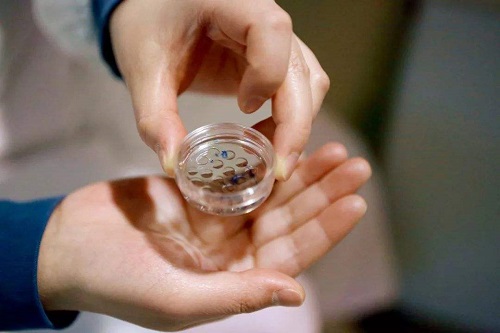 美國拿別人精子做試管嬰兒價格是多少