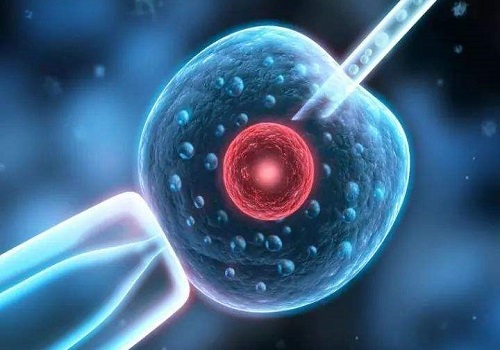 泰國試管嬰兒的檢查的費用是多少