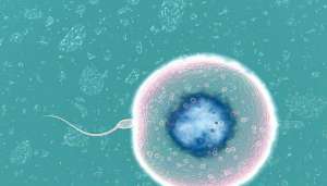 俄羅斯試管嬰兒和正常的嬰兒有區別嗎？