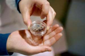 美國拿別人精子做試管嬰兒價格是多少