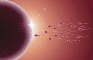 現在做試管嬰兒可以要嗎