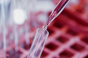 試管嬰兒可以選擇嗎