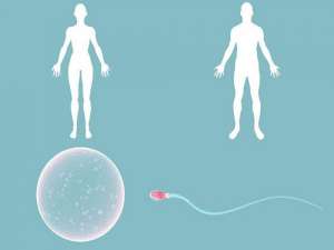 第三代試管嬰兒可以選擇嗎