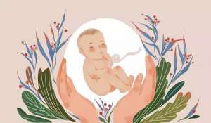 第三代試管嬰兒的流程