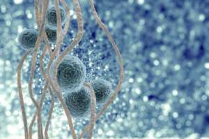 三代試管技術能女嗎