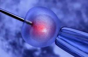 俄羅斯試管嬰兒助孕生育