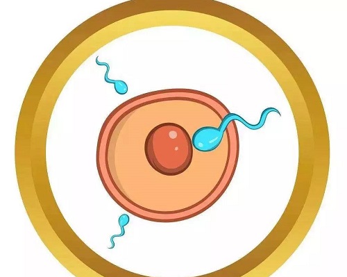 試管嬰兒能保證生嗎?