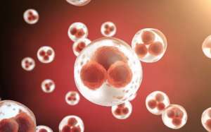 去泰國試管嬰兒的流程是怎樣