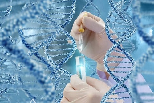 做一次三代試管要花多少錢