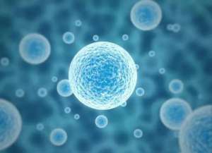 去泰國試管流程的全部過程