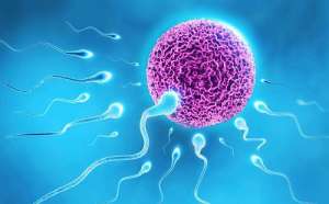 高齡女性做美國三代試管的費用