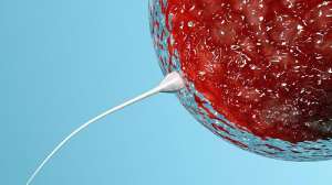 泰國試管成功率高嗎