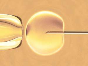 去泰國做試管可靠嗎