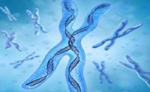 美國試管嬰兒的花費介紹