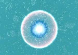 泰國試管嬰兒成功率高嗎