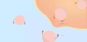 到泰國試管嬰兒需要做好哪些手續