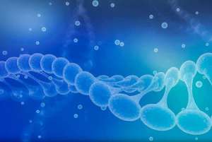 去美國進行試管嬰兒前的準備