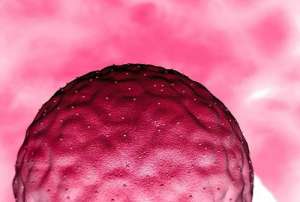 美國試管嬰兒費用要多少