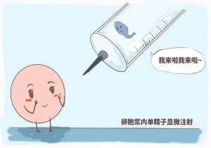 美國做試管嬰兒到底要花多少錢