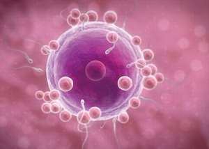 怎么做能提高泰國試管成功率