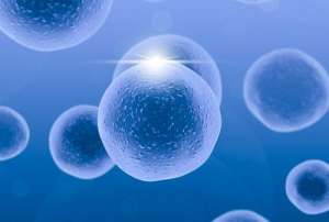 泰國試管嬰兒一般多少錢