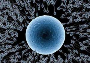 俄羅斯第三代試管嬰兒費用多少