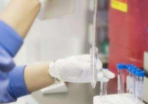 俄羅斯試管嬰兒成功率高達到多少