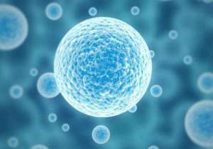 俄羅斯做試管哪家醫院好